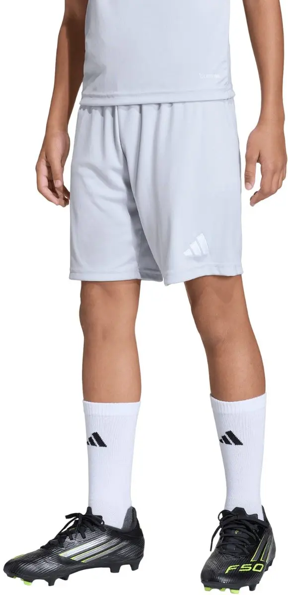 Adidas Entrada 26 Korte Broek Grijs 5-6 Years Kinderen