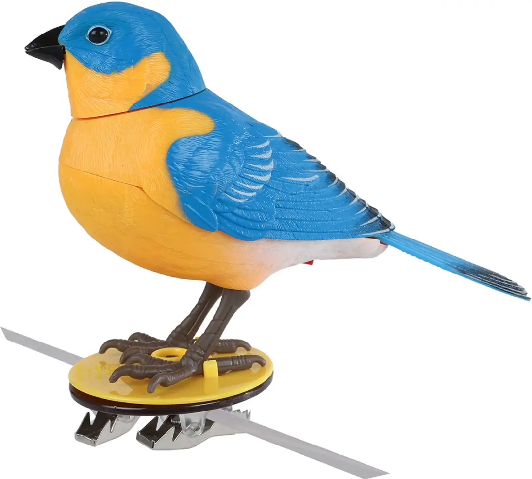Van Manen Speelgoed Vogel Singing Bird - Rood/Blauw/ Groen - 087246