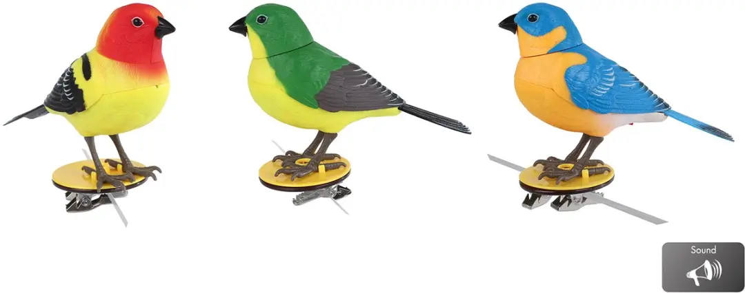 Van Manen Speelgoed Vogel Singing Bird