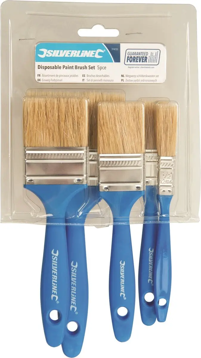 Silverline Wegwerp Schilderskwasten Set - 5 Stuks