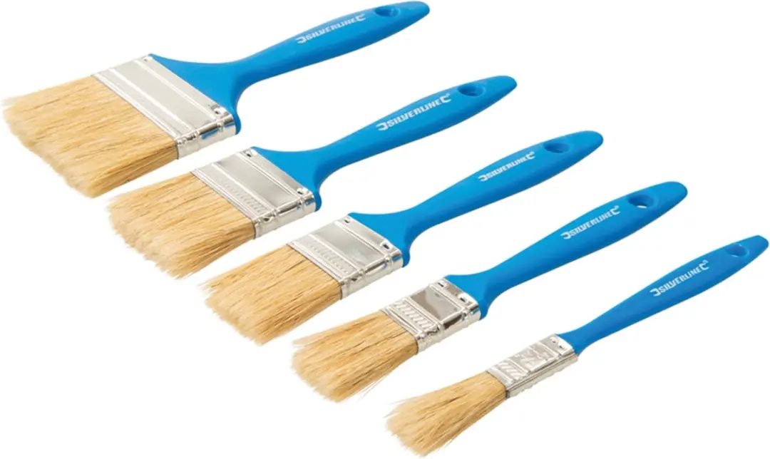Silverline Wegwerp Schilderskwasten Set