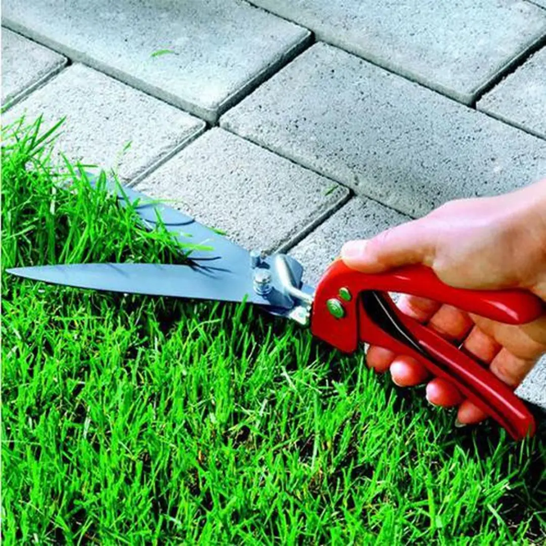 WOLF-Garten 7033004 Grasschaar