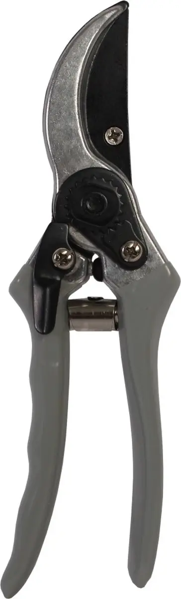 Talen Tools Snoeischaar Koolstofstaal