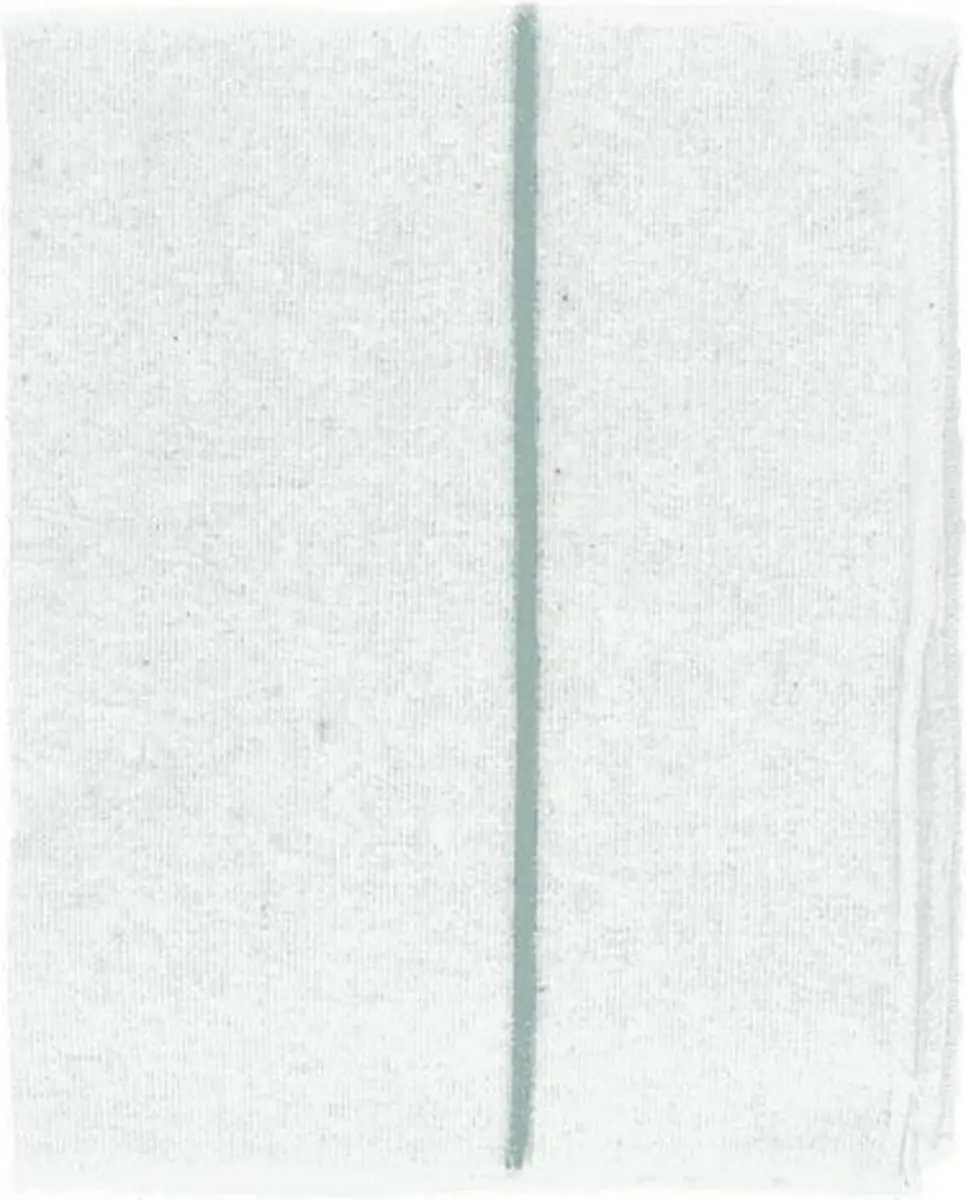 Sorbo Geweven Dweil 70x80cm - 10 Stuks - Groenstreep