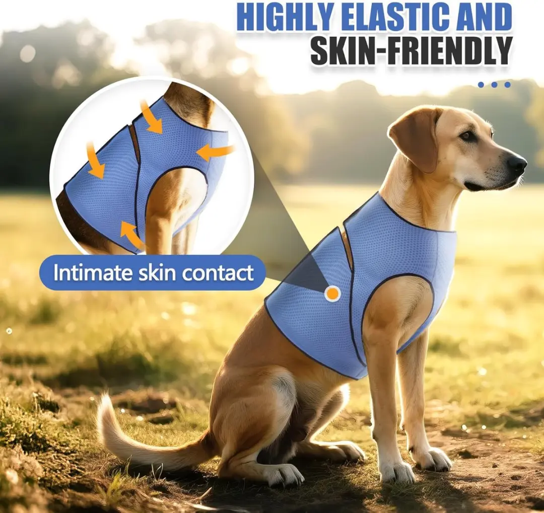 ECTEATOY Ademend Anti-Angst Hondenvest Blauw XL