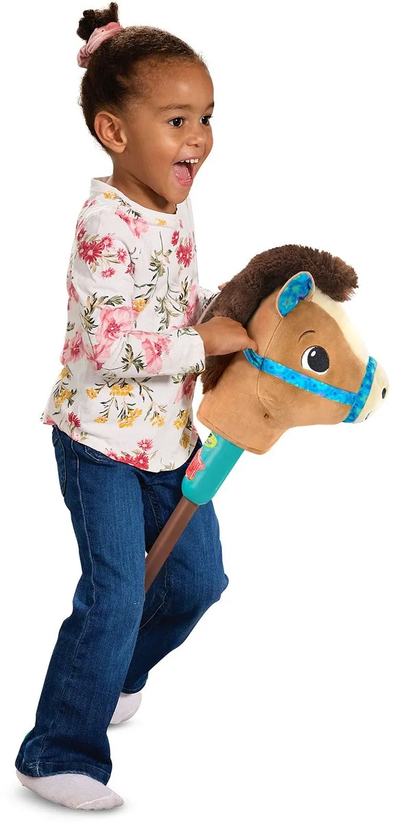 VTech Mijn Eerste Hobby Horse - Meerkleurig