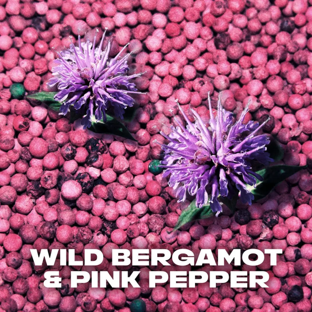 Axe Bergamot & Pink Pepper Douchegel & Deo Spray - 4 Stuks