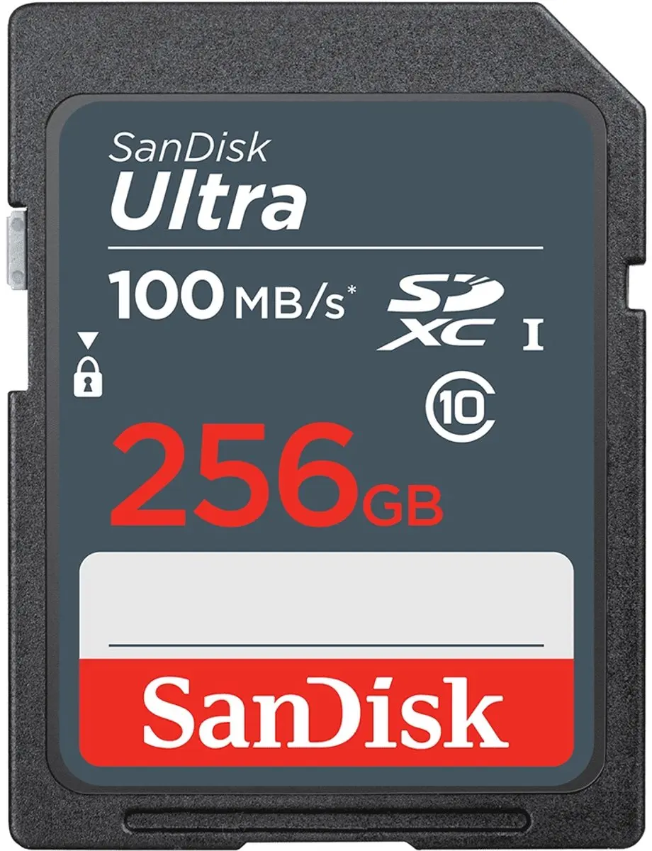 SanDisk SDSDUNR 256GB MicroSD Kaart - Zwart