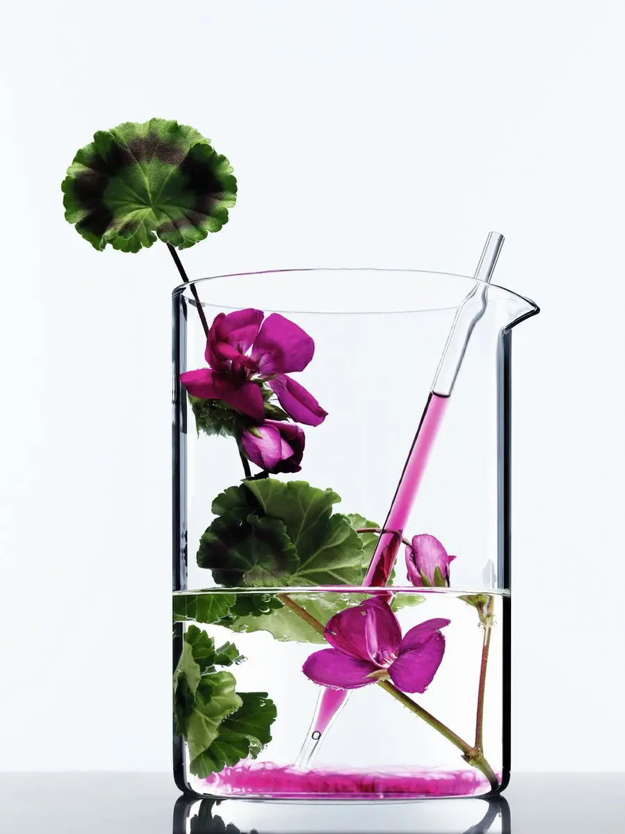 L'Oréal Paris Botanicals Geranium Radiance Haarolie 150ml