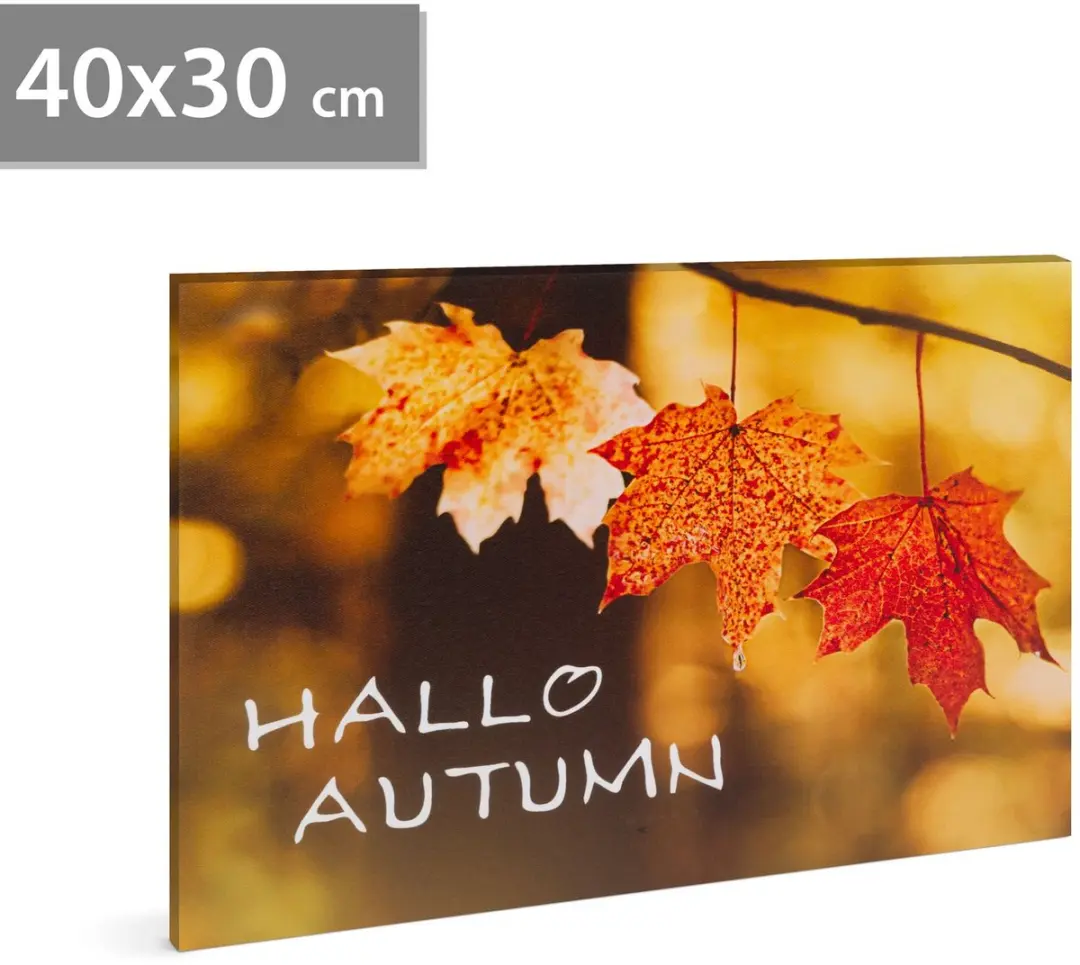 Delight LED-Afbeelding Hallo Herfst
