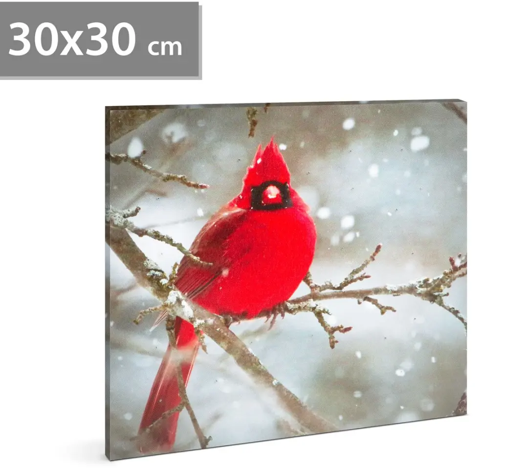 Delight LED Afbeelding Rode Vink 30x30cm