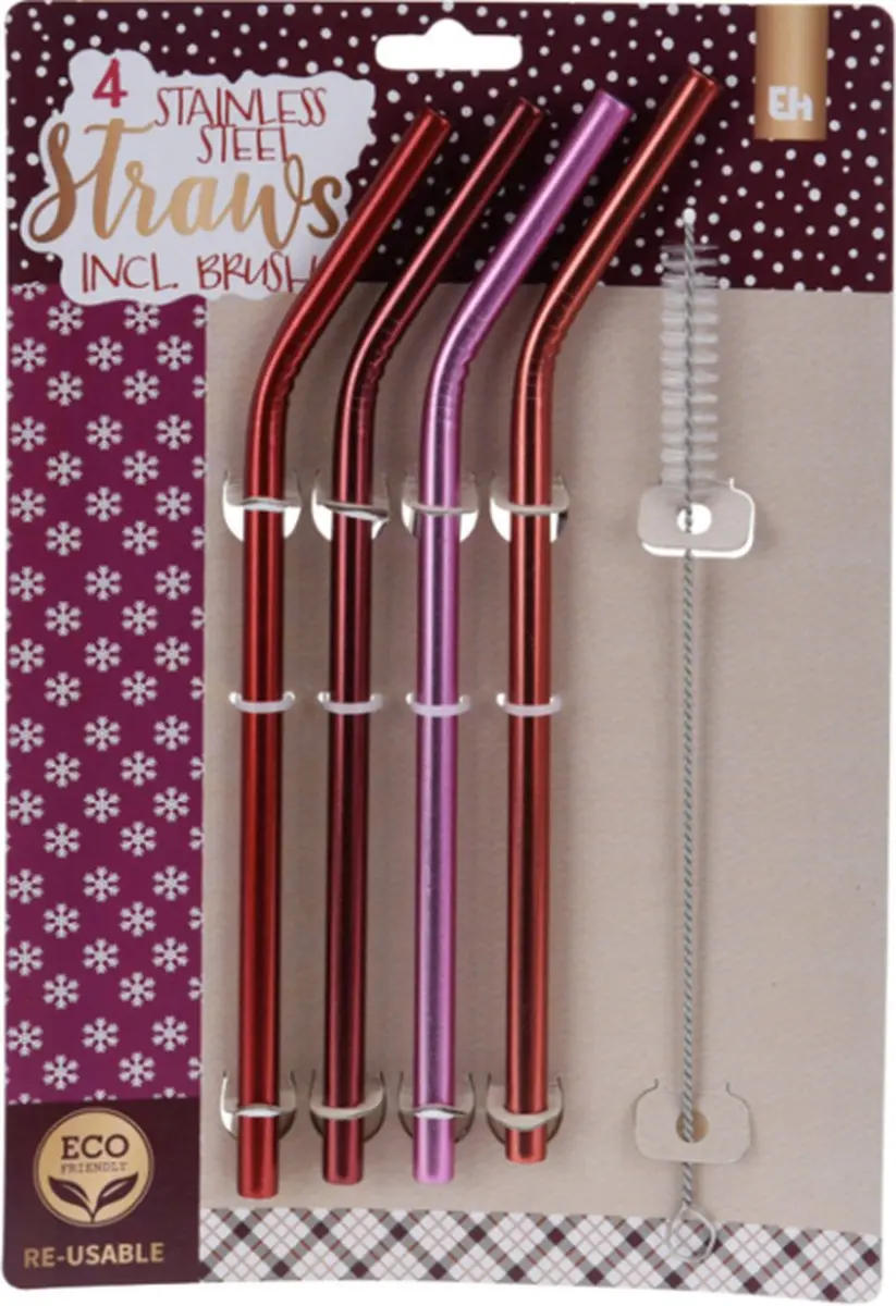 Excellent Houseware RVS Rietjes Set 4 Stuks