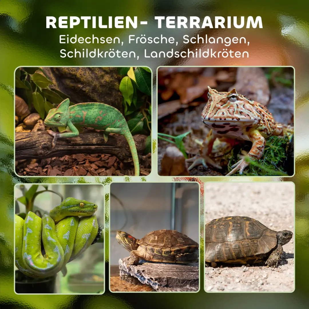 Pawhut Reptielenbak 30x30x30cm - Zwart