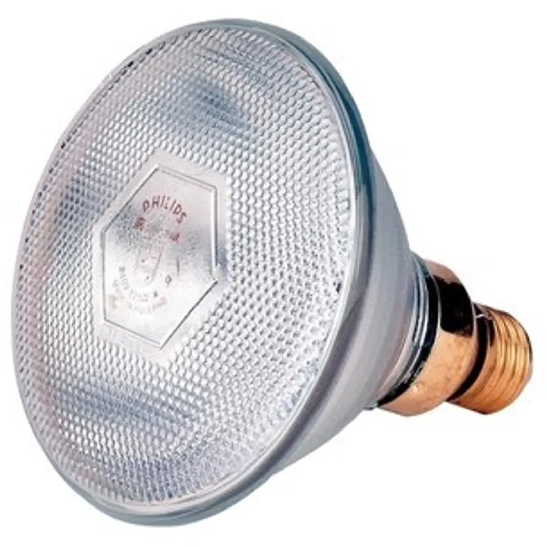 Philips Warmtelamp E 100W Wit