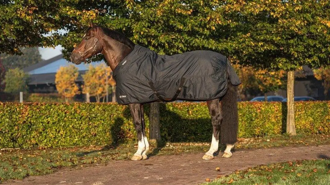 Trust Tetris Outdoordeken 205cm Navy