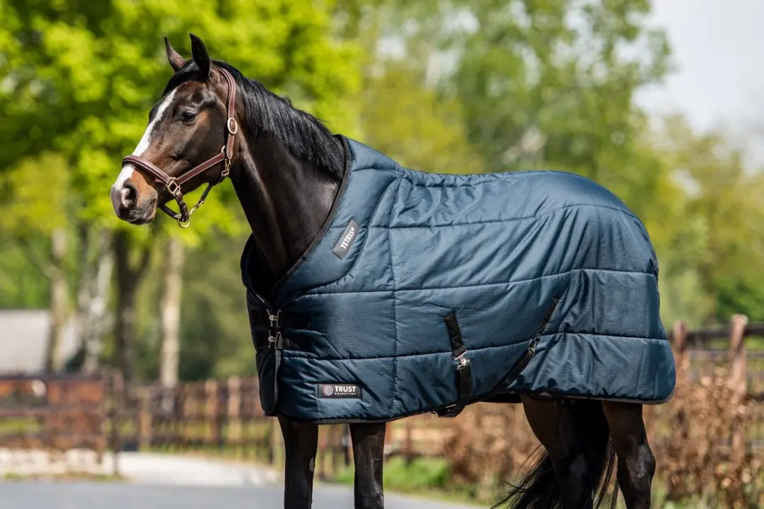 Trust Tetris Outdoordeken 205cm Navy