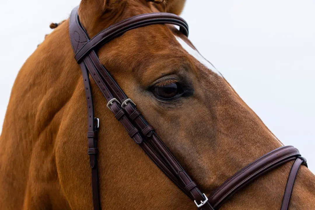 Trust Knokke Combined Noseband Hoofdstel Full - Bruin/Goud