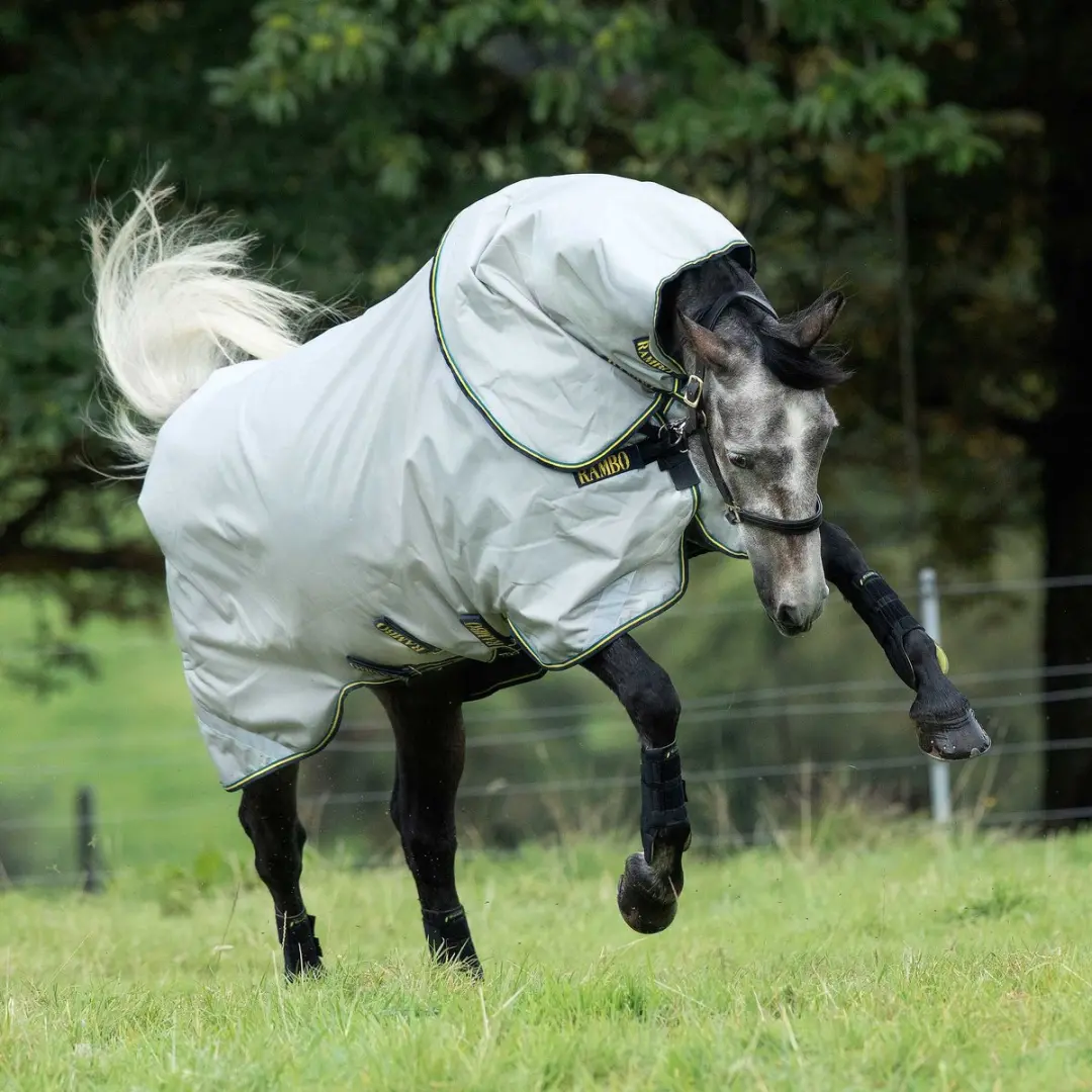 Rambo Duo Bundle Turnout 100g & 300g Liners - 160 cm - Grijs