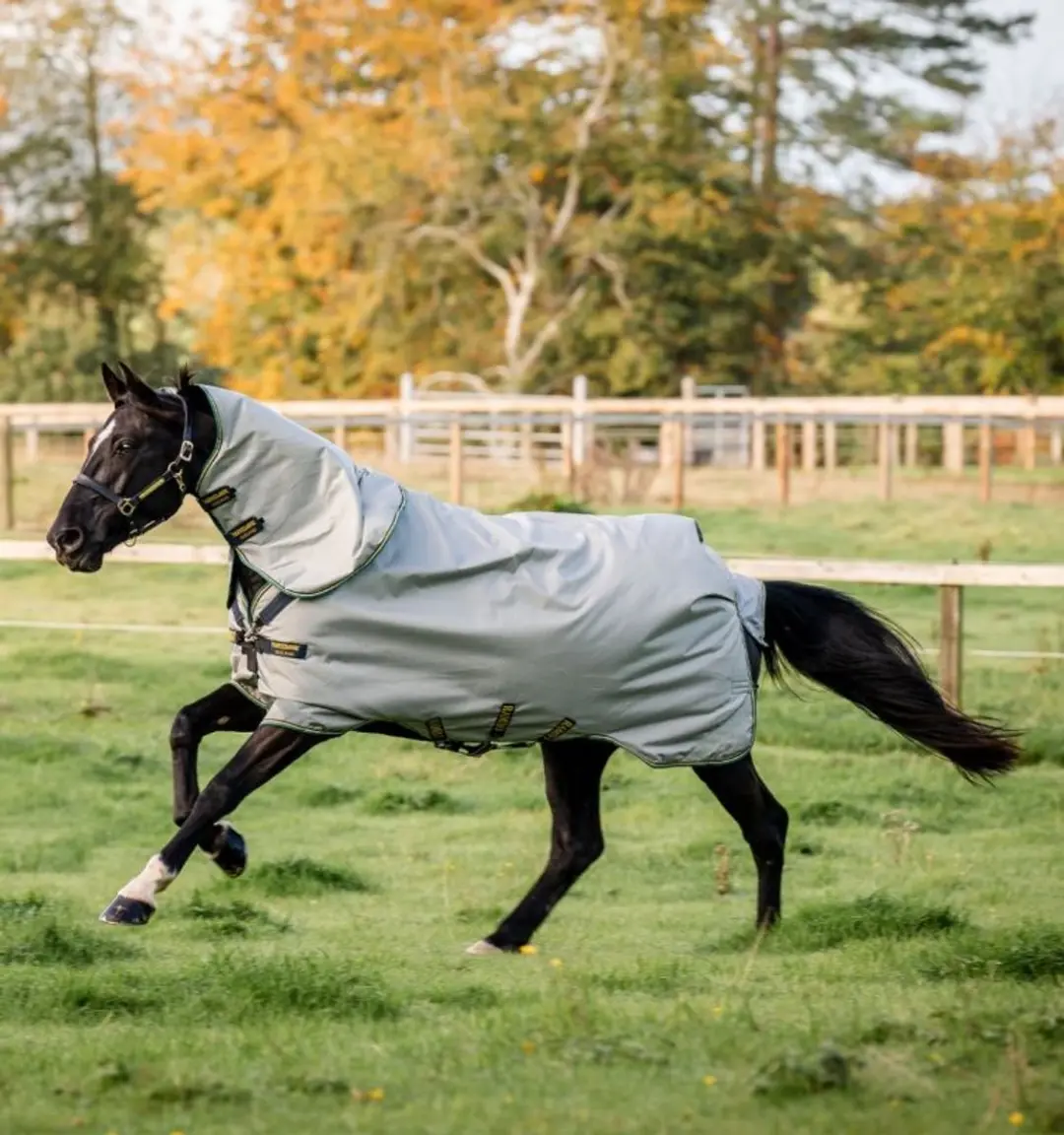 Rambo Duo Bundle Turnout 100g & 300g Liners - 160 cm - Grijs - afbeelding 6 van 6