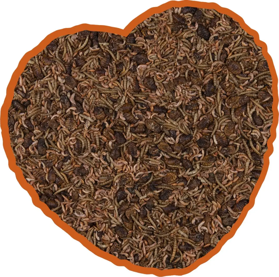 Duvo Duvoplus Reptielenvoer Natuurmix 2,5L