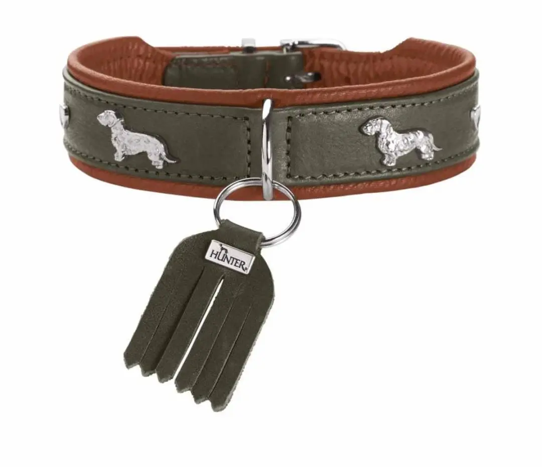 Hunter Teckel Halsband München
