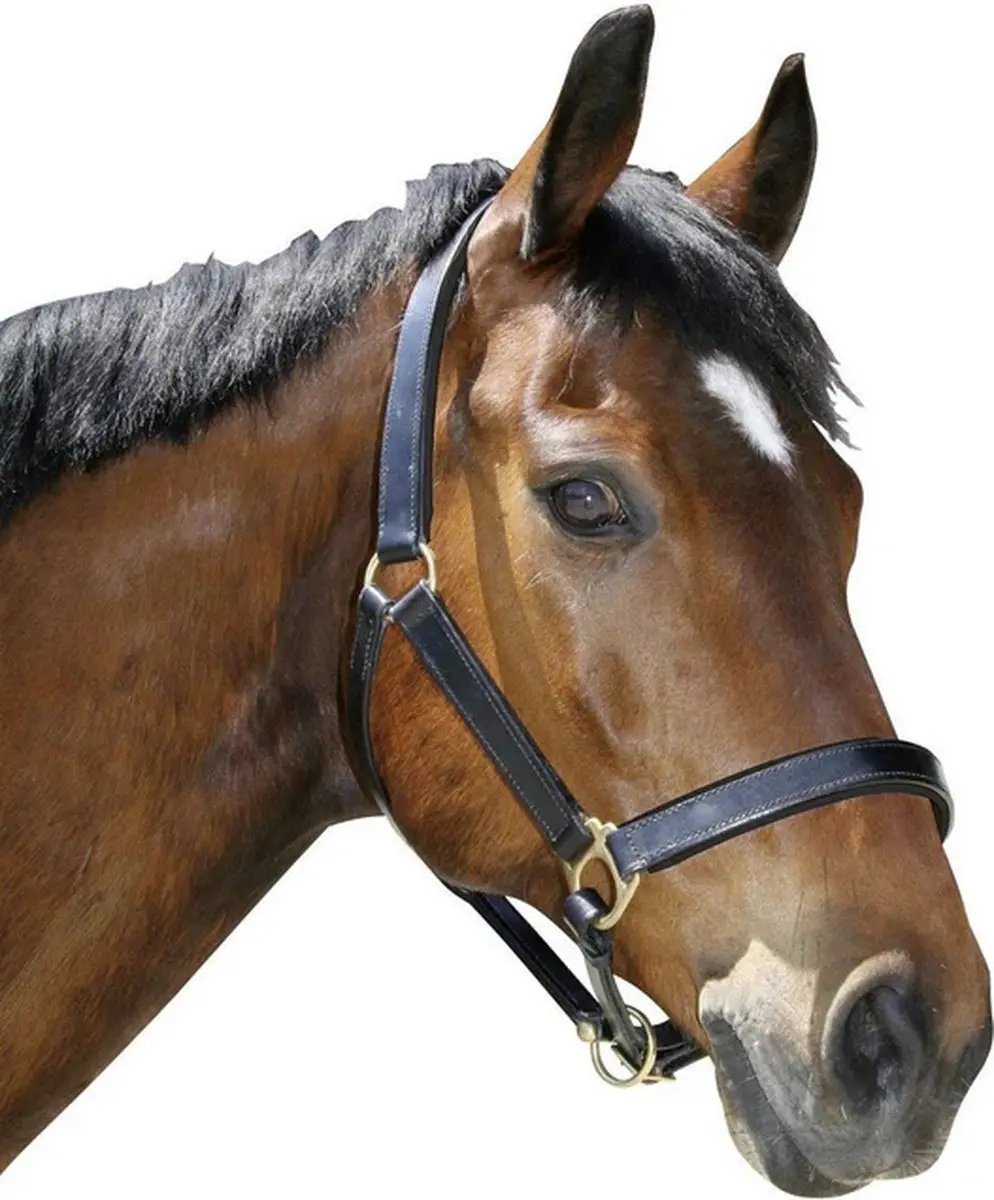 Kerbl Covalliero Lederen Halster Full - Zwart