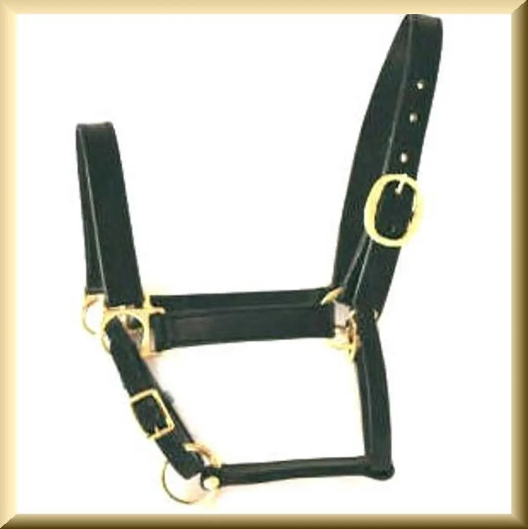Kerbl Covalliero Lederen Halster Full - Zwart