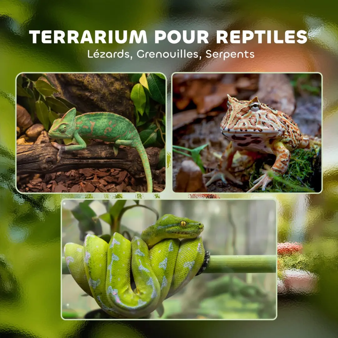 Pawhut Reptielenbox 20x20x30cm - Gehard Glas Transparant