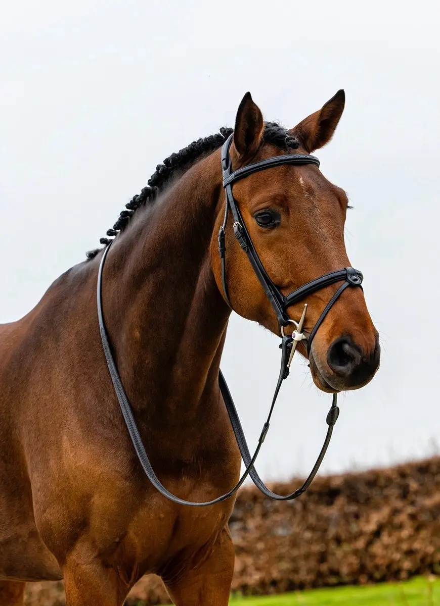 Trust Geneva Combined Noseband Hoofdstel Full