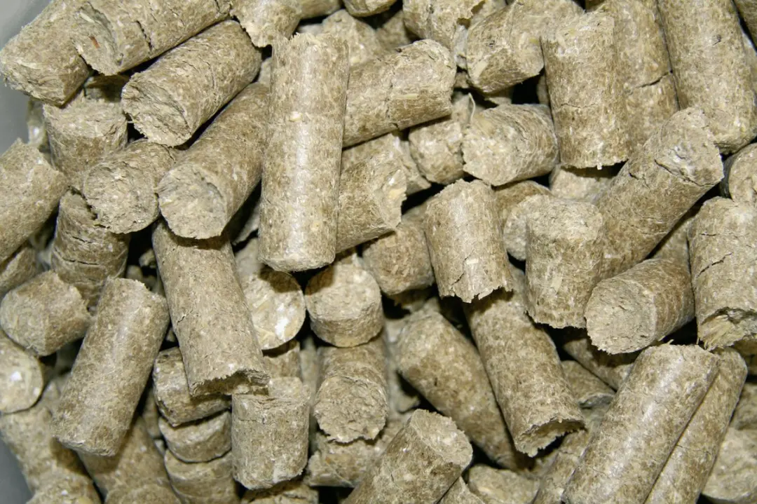 Kerbl Delizia Bio Appel Paardensnoepjes 1kg