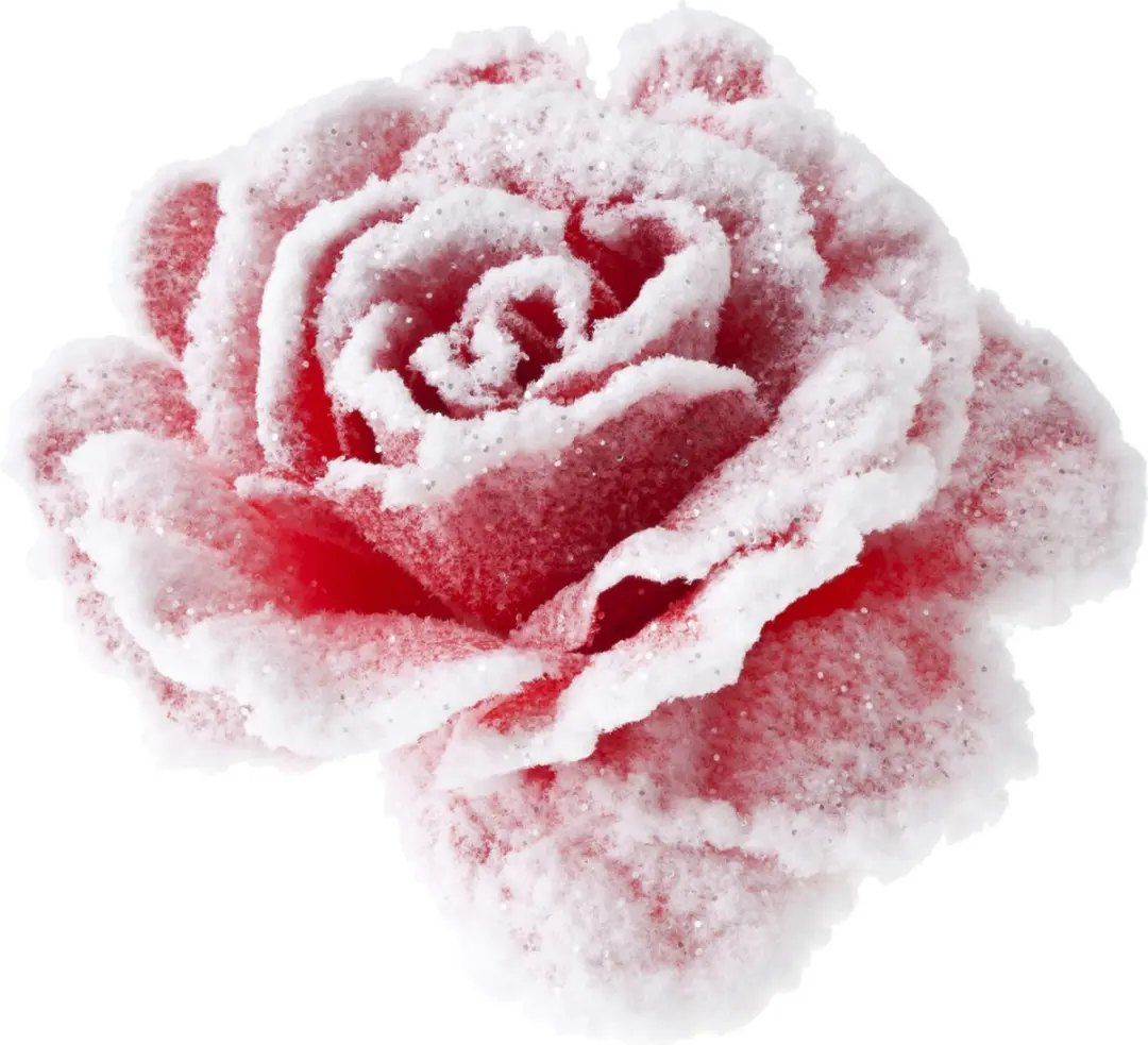 Cosy&Trendy Roos met Sneeuw Kerstboomversiering 15cm