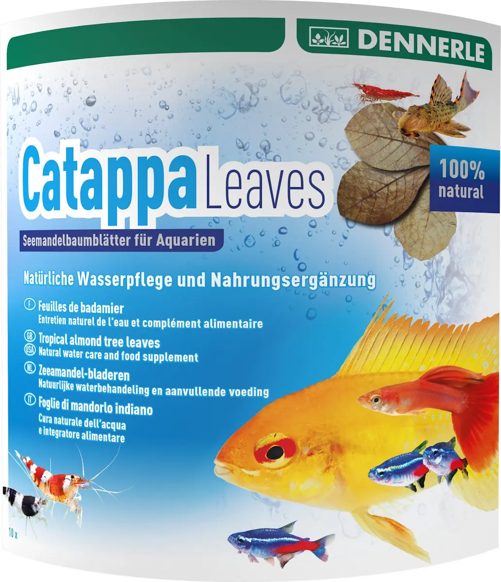 Dennerle Catappa Bladeren 10 Stuks