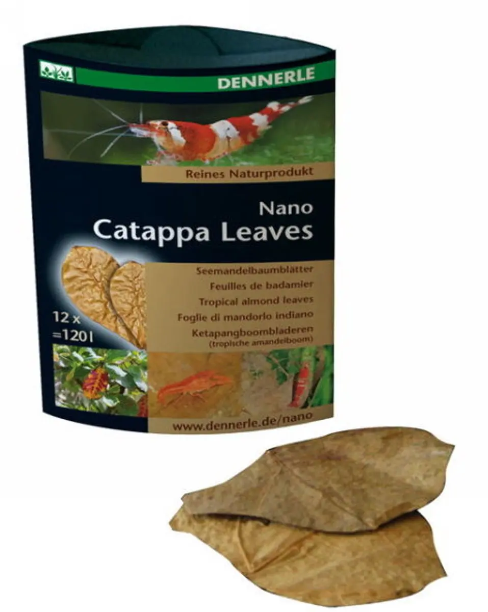 Dennerle Nano Catappa Bladeren