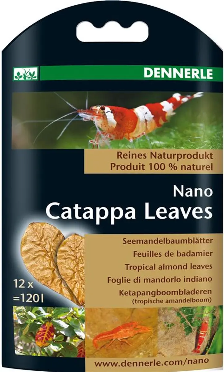 Dennerle Nano Catappa Bladeren - 12 Stuks