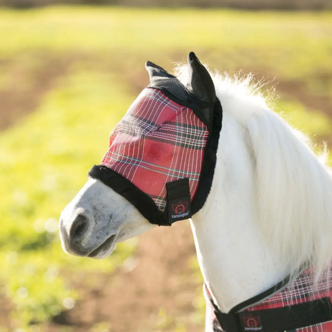 Kensington Vliegenmasker II Kentucky Blue Pony