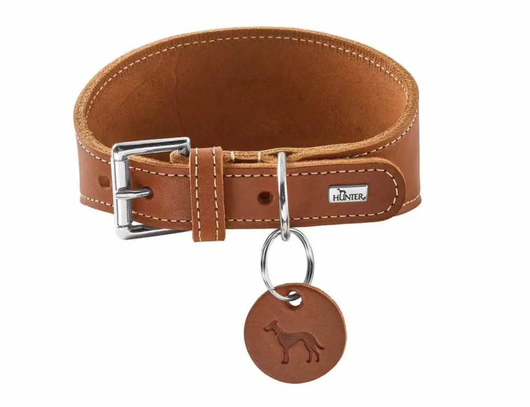 Hunter Windhond Halsband Aalborg Cognac