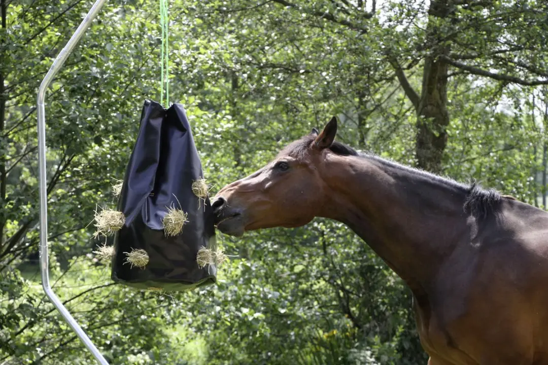 Kerbl Hooizak 16kg - Zwart