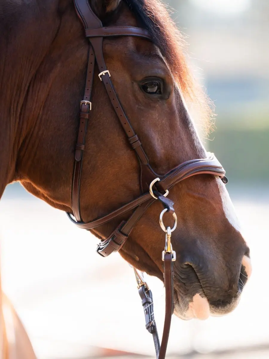 Trust Falsterbo Hoofdstel Full - Bruin - Goud