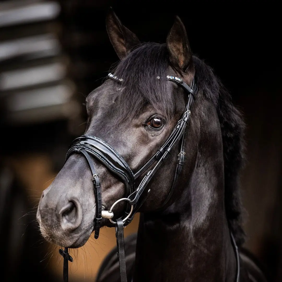 ShowTime HB Evalira Hoofdstel - Full - Zwart/Grijs Glitter
