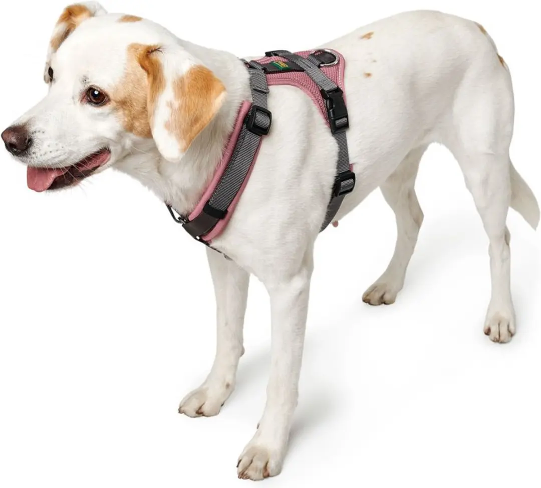 Hunter Maldon Up Honden Tuigje M-L - 60-91cm - Oudroze/Grijs