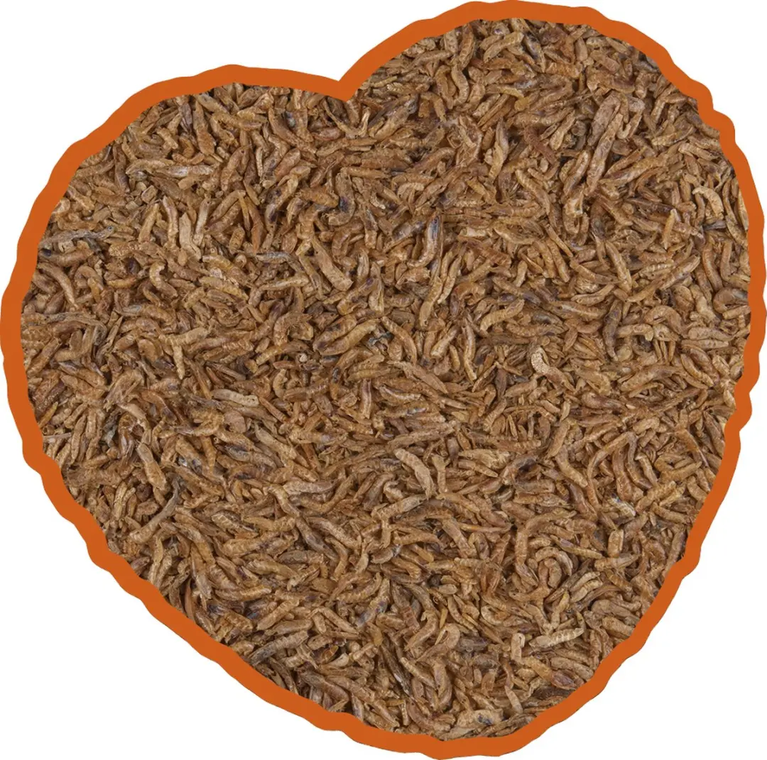 DuvoPlus Gammarus Grof Reptielenvoer 2,5L