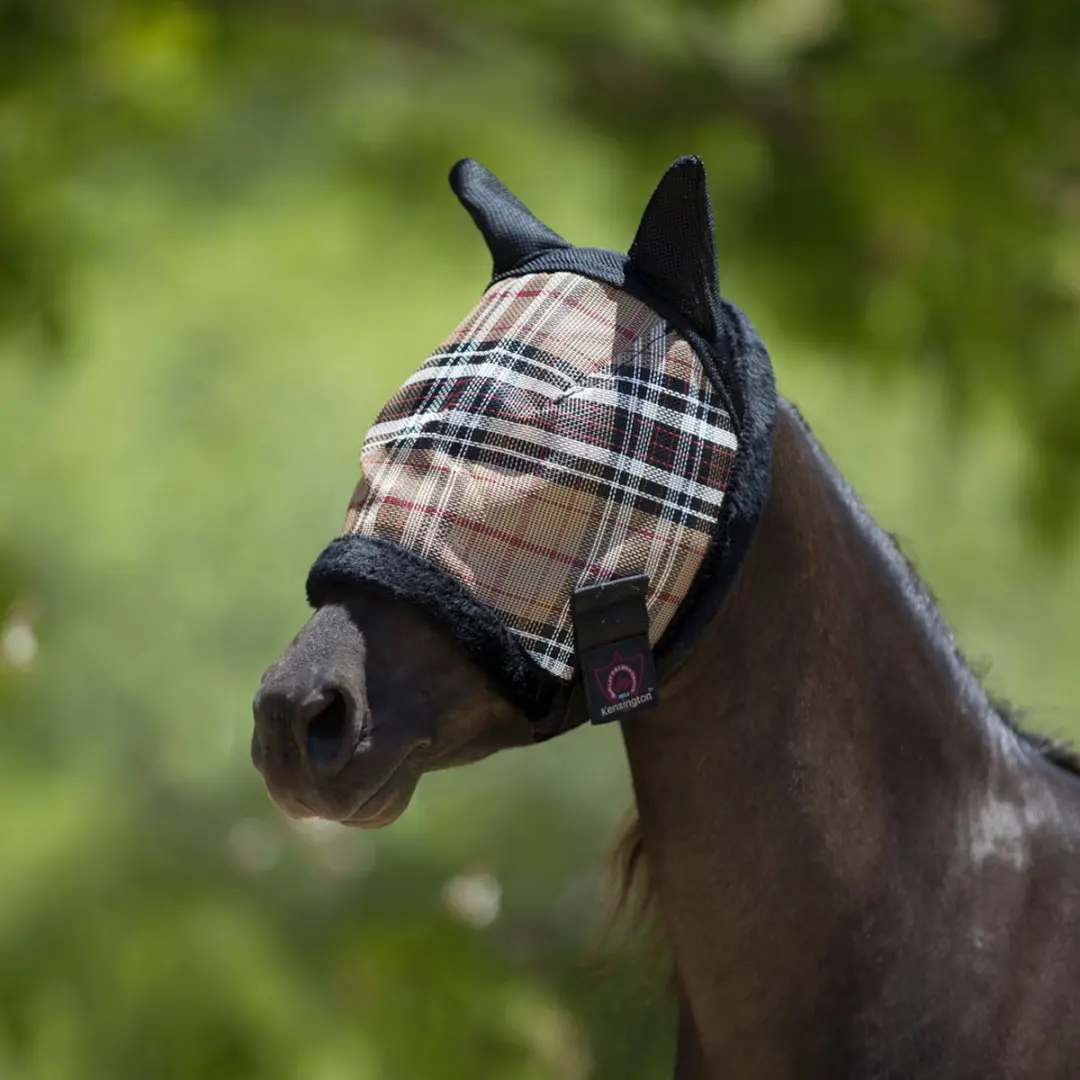 Kensington Vliegenmasker II Deluxe Black Pony