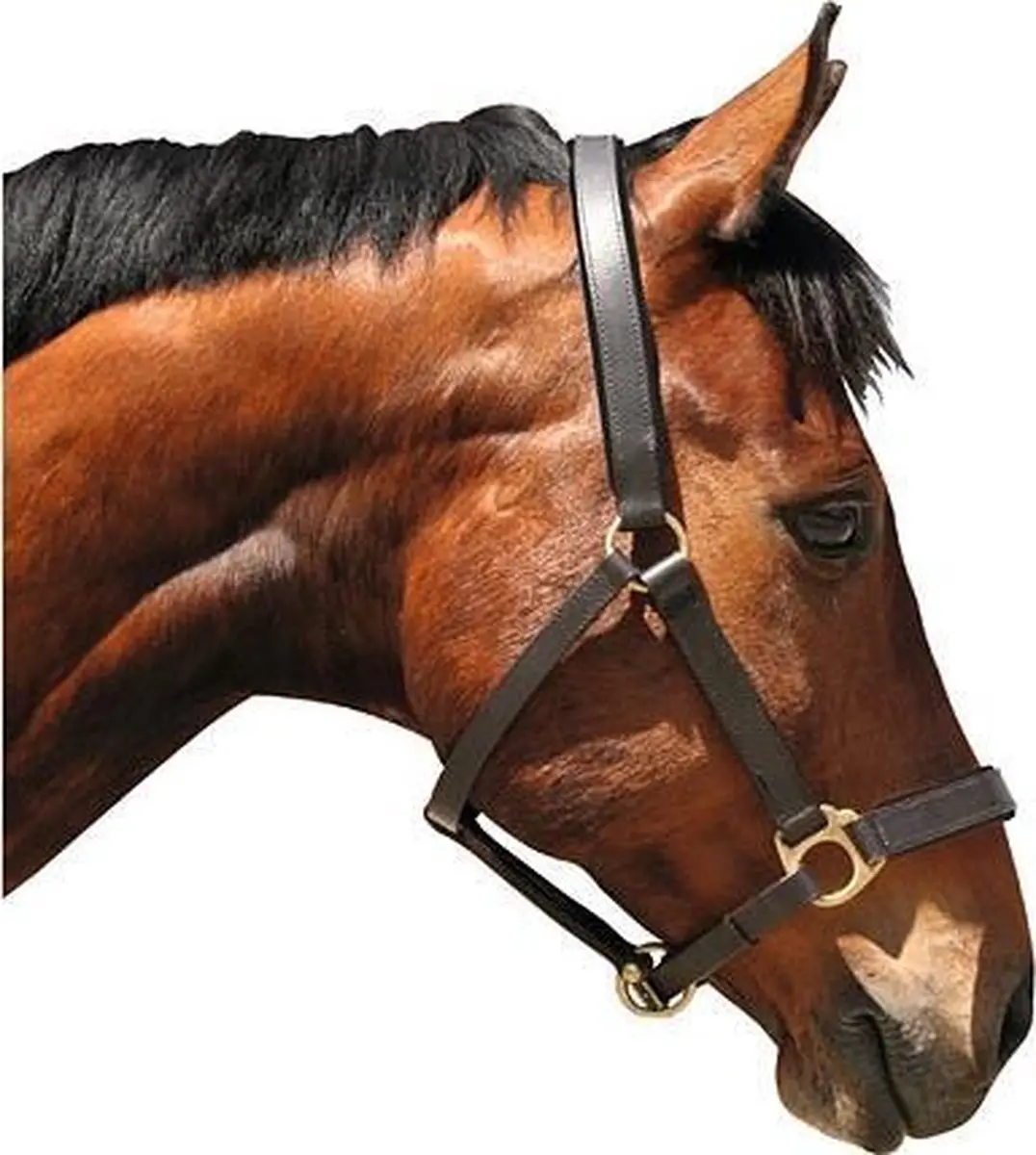 Kerbl Halster Leder X-Full - Bruin