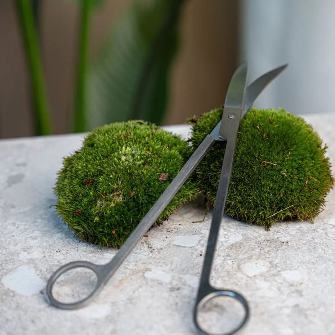 Esschert Design Terrariumschaar - Zilver
