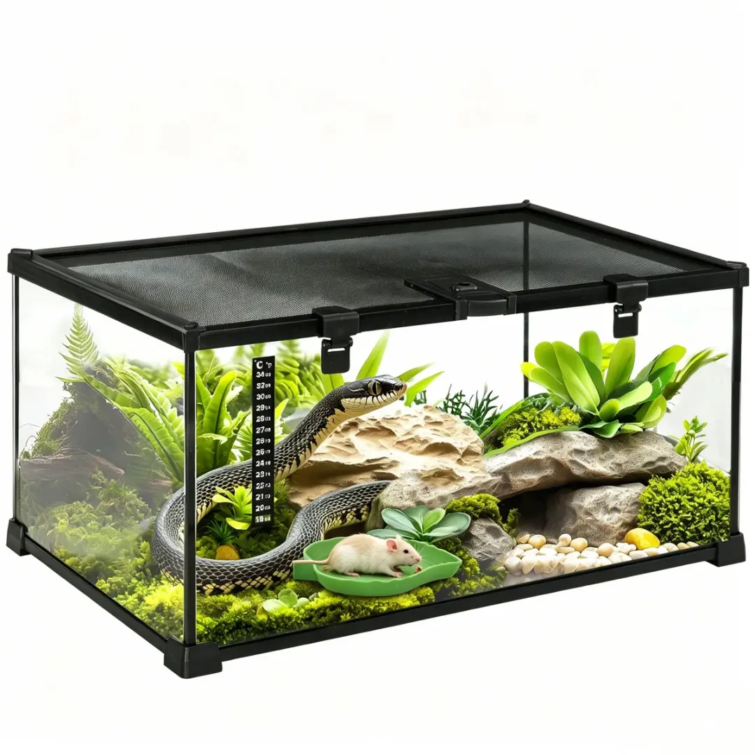 ECTEATOY Glazen Terrarium 50x30x25cm