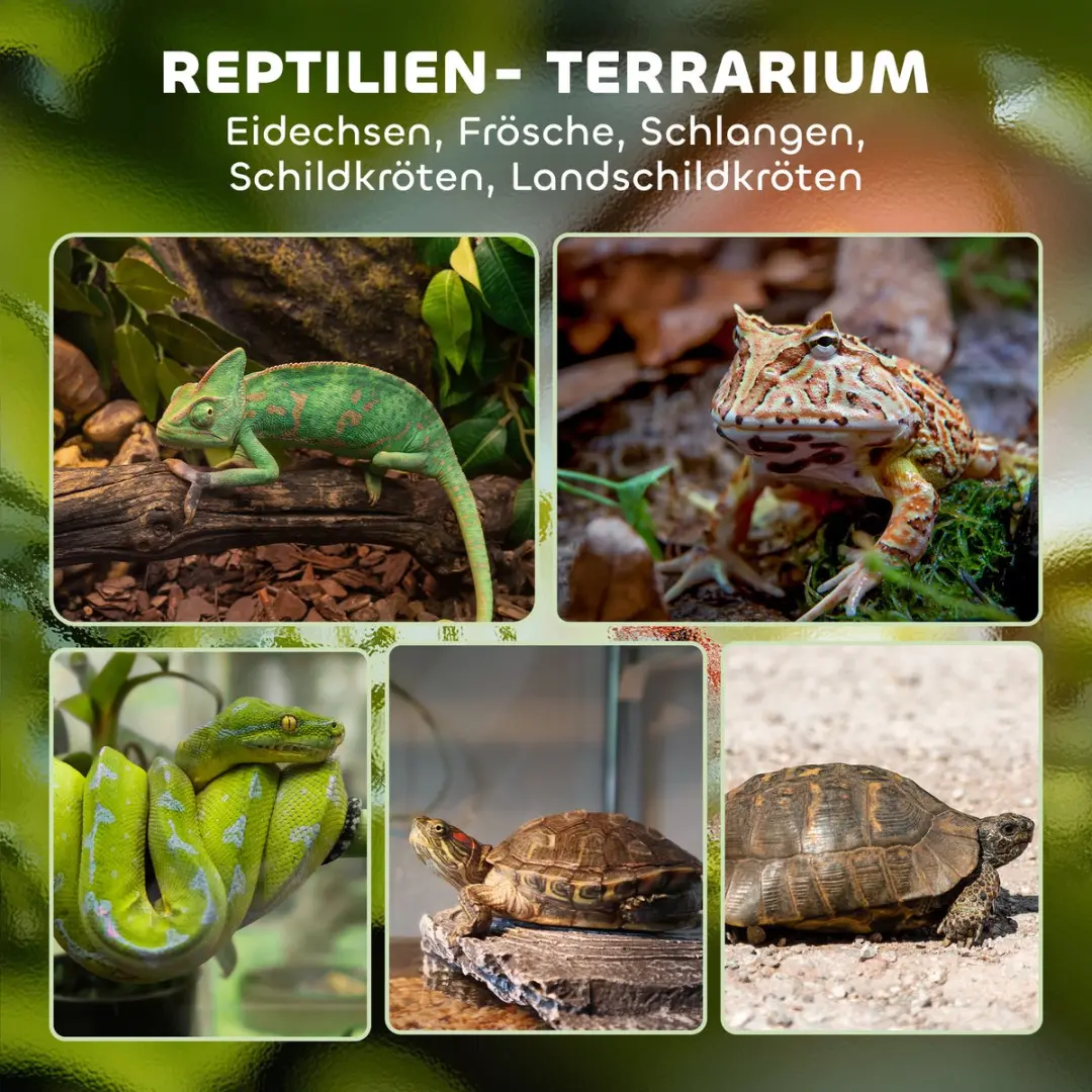 Pawhut Reptielenbak 50L x 30B x 25Hcm - Zwart