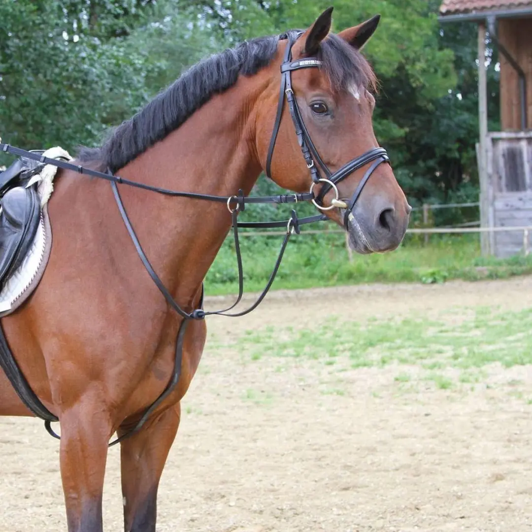 Kerbl Martingaal Pony - Zwart
