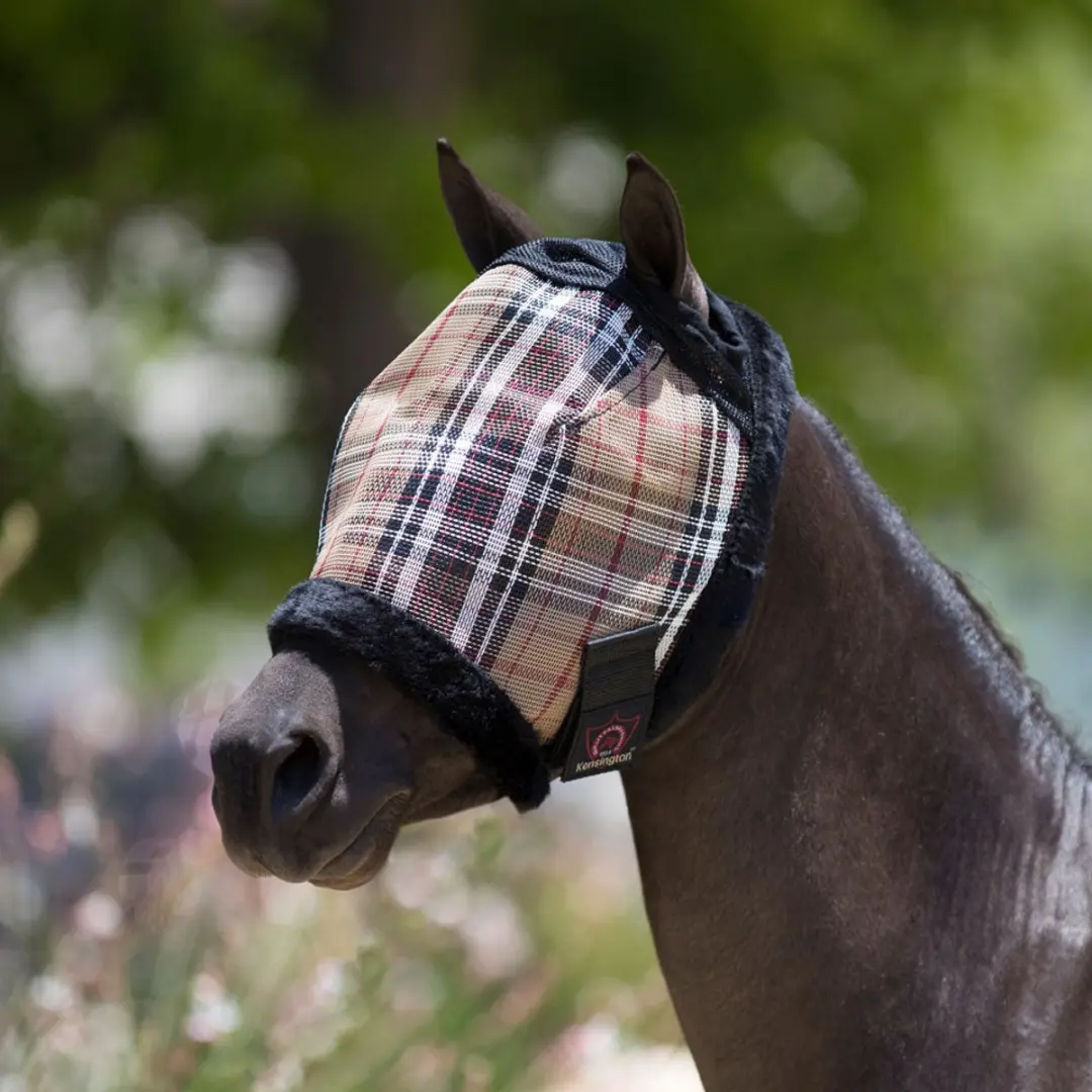 Kensington Vliegenmasker Kentucky Blue Pony
