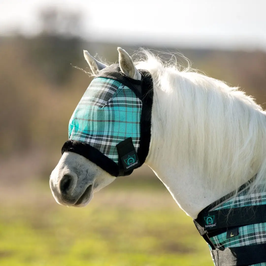 Kensington Vliegenmasker Kentucky Blue Pony