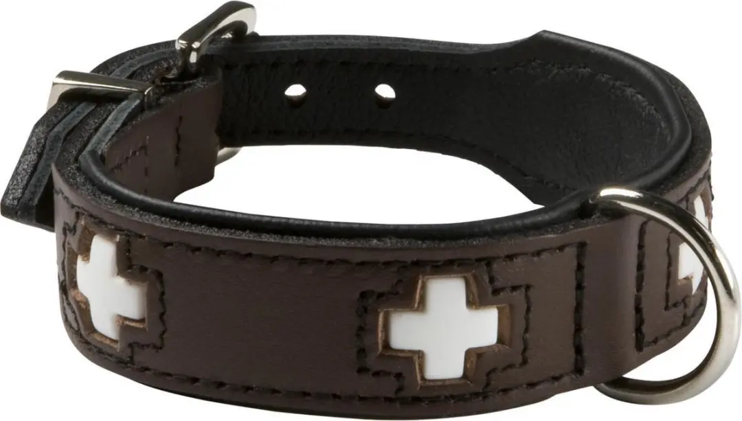 Hunter Swiss Hondenhalsband 35-43cm